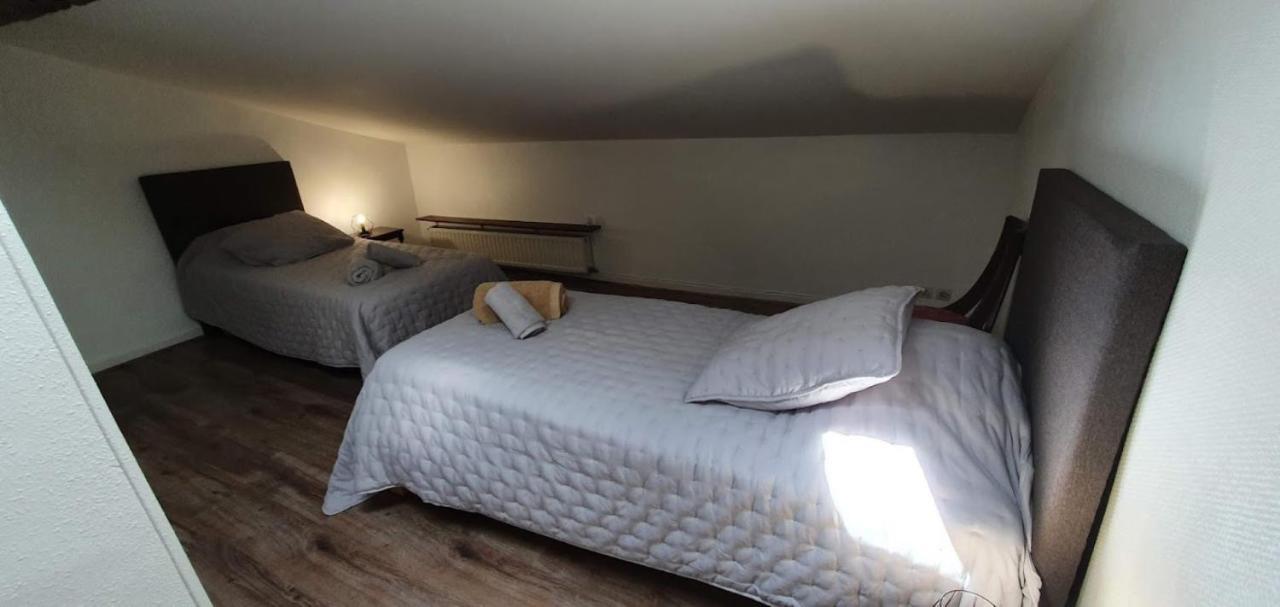 Gite De 420 Metres Carres Dans Chateau L'Ange Au Violon Jusqu'A 13 Couchages Conques-sur-Orbiel Dış mekan fotoğraf
